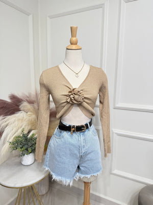 Sparkly camel top