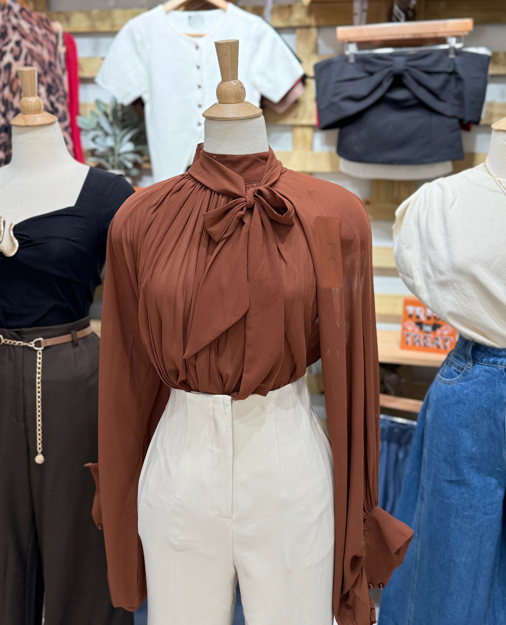 Brown Blouse